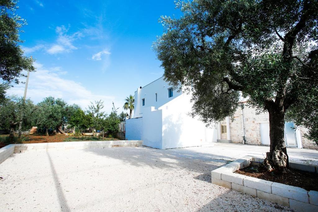 Casa 801 Bed & Breakfast Monopoli Exterior foto